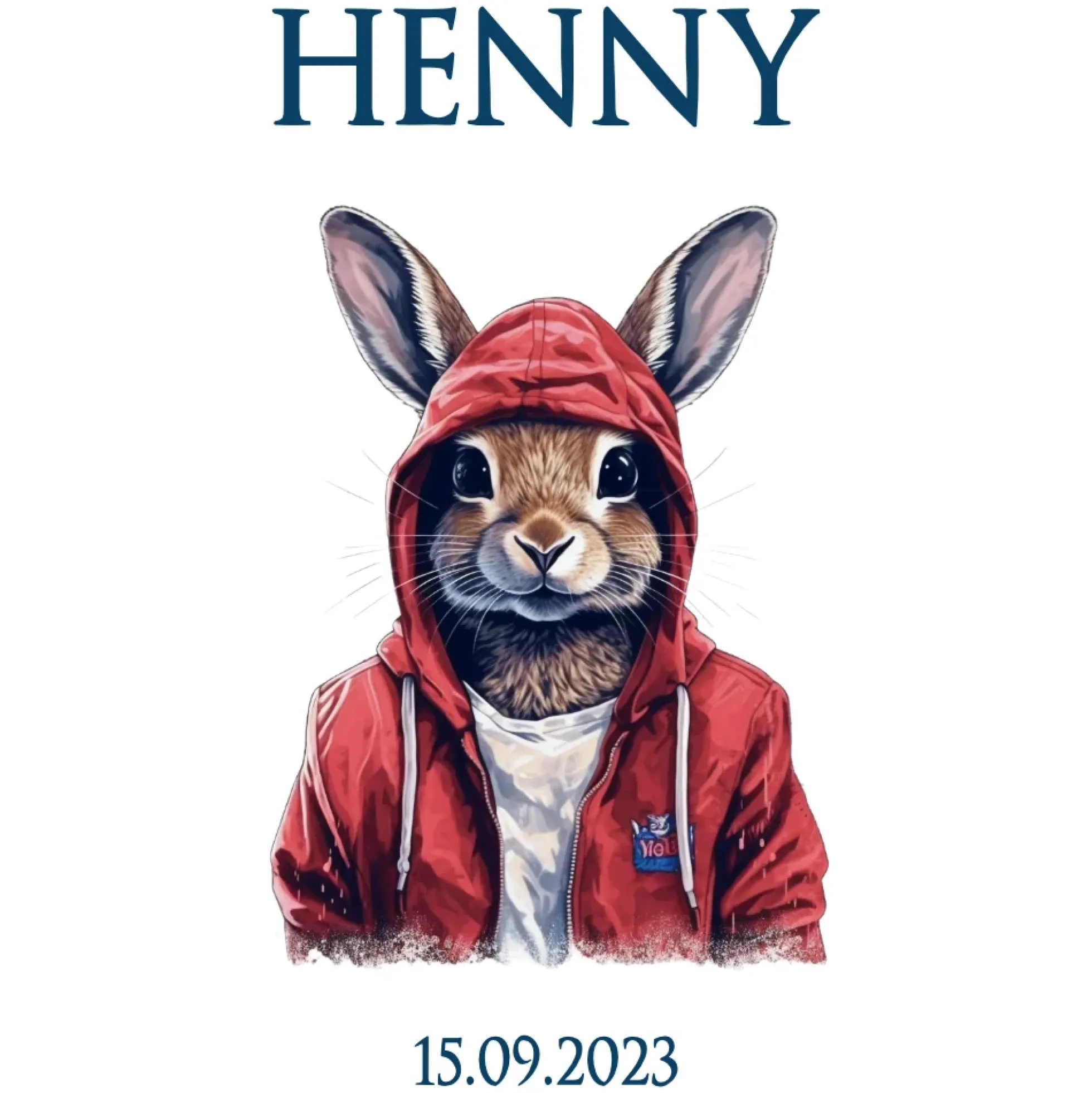 Handgenähte blaue Stoff Schultüte Junge Hase Name Einschulungstüte Einschulungsdatum Zuckertüte 70 cm personalisiert | Optional mit Füllkissen und Spitzenschutz