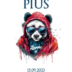 Panda Stoff Schultüte in Blau für Jungen mit Namen handgenähte Tier Einschulungstüte Datum Zuckertüte 70 cm personalisiert | Optional mit Füllkissen und Spitzenschutz